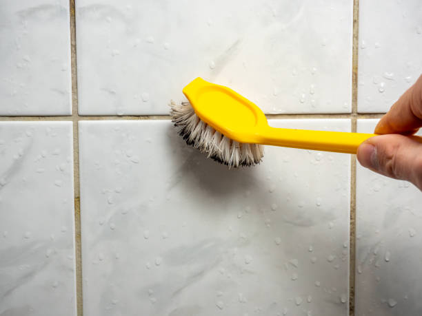 Best Black Mold Removal  in Gloucester Courthouse, VA