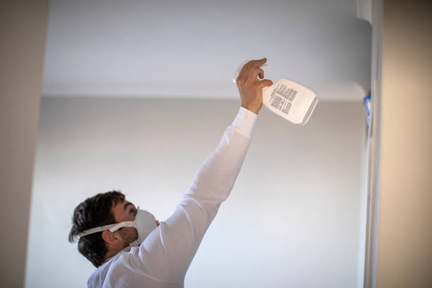 Best Mold Removal Company Near Me  in Gloucester Courthouse, VA