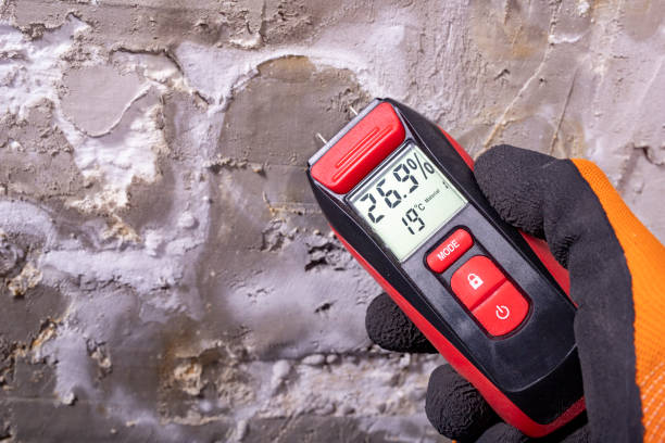 Best Toxic Mold Removal  in Gloucester Courthouse, VA