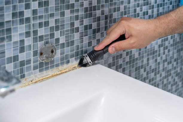 Best Same-Day Mold Removal  in Gloucester Courthouse, VA